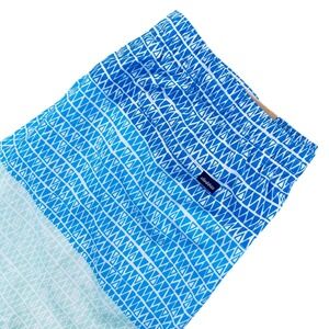 Chubbies Mens 2XL 5.5" Mesh Lined Ocean Trifectas Blue Green Classic Swim Trunks